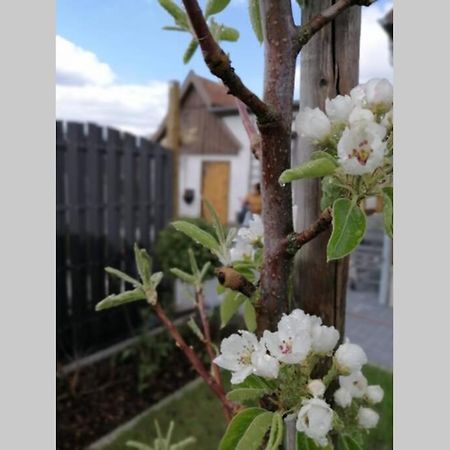 Harzhaus Ida Villa Elbingerode  Bagian luar foto
