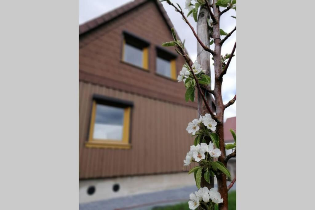 Harzhaus Ida Villa Elbingerode  Bagian luar foto