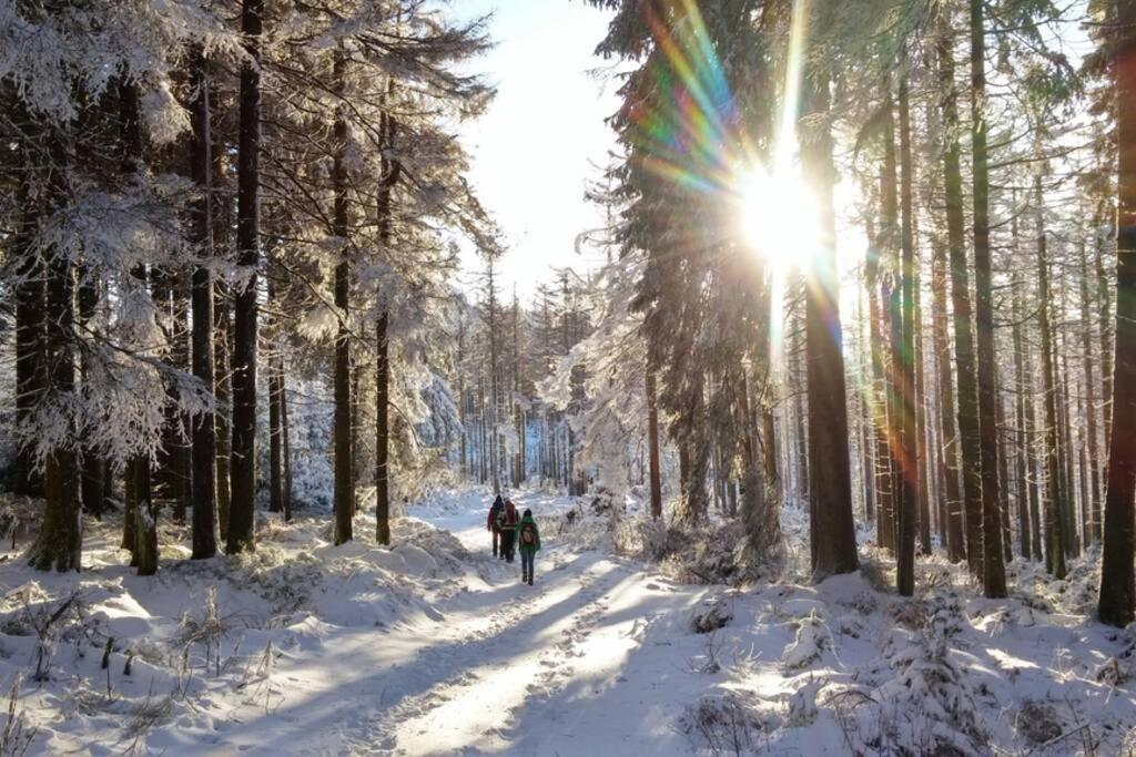 Harzhaus Ida Villa Elbingerode  Bagian luar foto